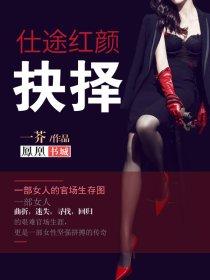 仕途红颜:抉择 仕途红颜:抉择